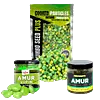 Amur program